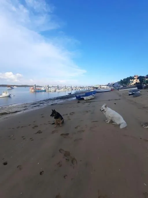 Apartamento 3 Corazones Punta Umbria Spain